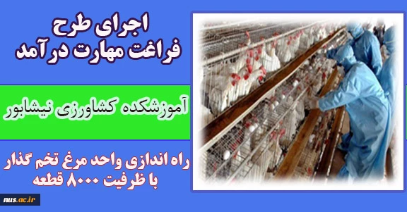 اجرای طرح فراغت مهارت درآمد در آموزشکده کشاورزی نیشابور 2