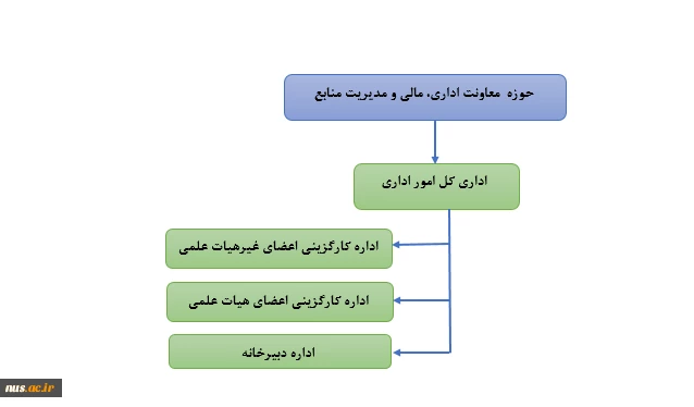 ساختار امور اداری