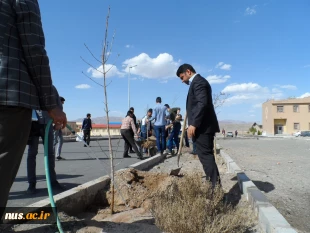 برگزاری مراسم روز درخت کاری با شعار هر دانشجو یک درخت در آموزشکده فنی پسران بیرجند (ابن حسام)