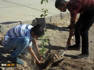 برگزاری مراسم روز درختکاری و کاشت نهال با شعار " هر دانشجو ، یک درخت " توسط دانشجویان و کارکنان آموزشکده فنی و حرفه ای شهید باهنر زاهدان