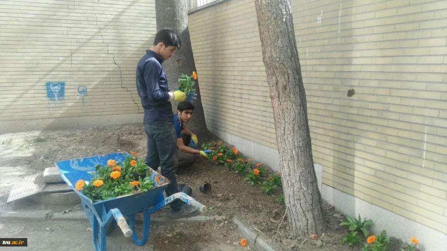 عملیات گلکاری و ایجاد فضای سبز محوطه سازمان مرکزی دانشگاه فنی و حرفه ای 4