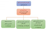 چارت سازمانی امور اداری