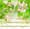 aksneveshte-eide-norooz (27)