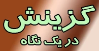 گزینش در یک نگاه  2