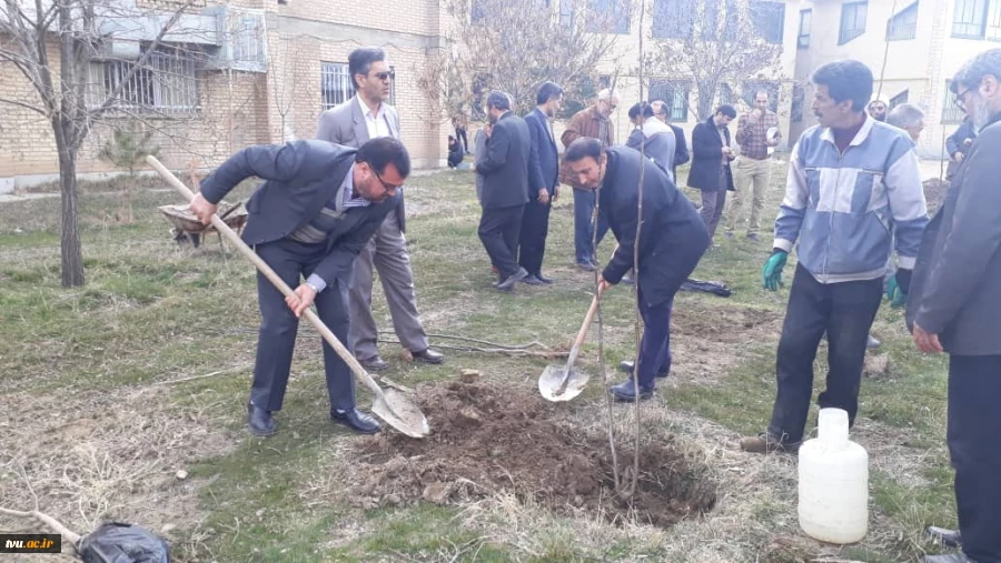 برگزاری آیین کاشت نهال به مناسبت روز درختکاری در دانشگاه فنی و حرفه ای همدان 2