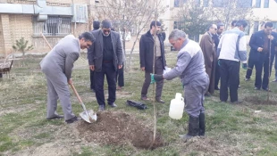 برگزاری آیین کاشت نهال به مناسبت روز درختکاری در دانشگاه فنی و حرفه ای همدان 3