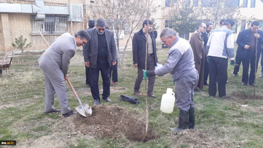 برگزاری آیین کاشت نهال به مناسبت روز درختکاری در دانشگاه فنی و حرفه ای همدان 3