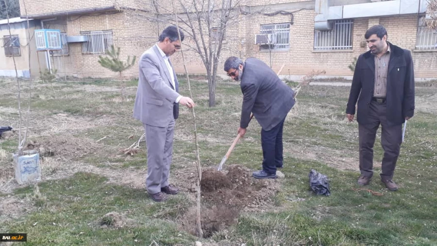 برگزاری آیین کاشت نهال به مناسبت روز درختکاری در دانشگاه فنی و حرفه ای همدان 5