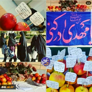 طرح سه شنبه های مهدوی حرکت خودجوشی است که حلاوت انتظار را در بین دانشجویان دو چندان می کند و در این روز ندای یا مهدی(عج) در آموزشکده فنی دختران شهرکرد طنین انداز می شود