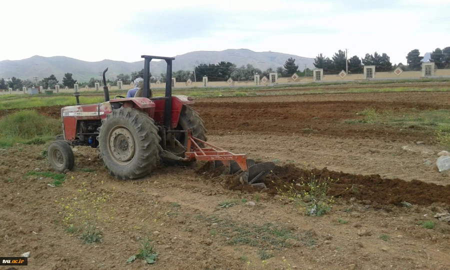 زیر کشت بردن چند هکتار از زمین های بلا استفاده دانشگاه فنی و حرفه ای استان لرستان  3