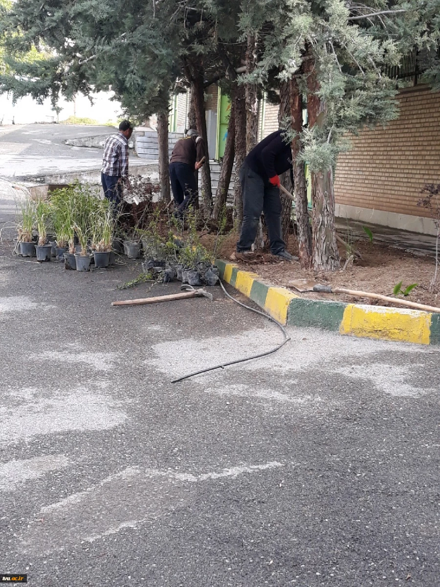 زیبا سازی و گل کاری محوطه دانشگاه توسط سازمان سیما منظر شهرستان کرج 2