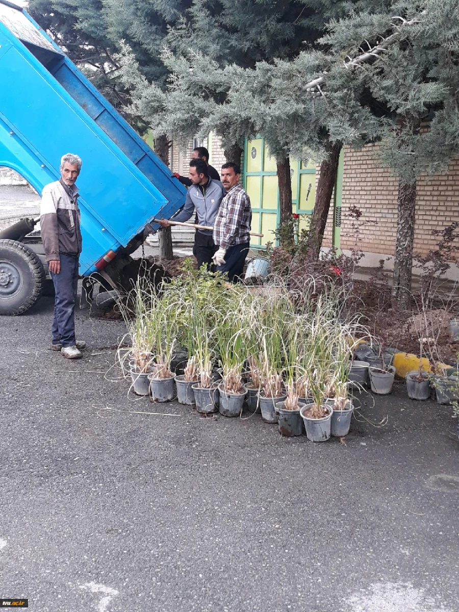 زیبا سازی و گل کاری محوطه دانشگاه توسط سازمان سیما منظر شهرستان کرج 3