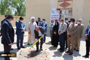 ساخت خوابگاه دانشجویی دانشکده فنی و کشاورزی فسا آغاز شد



دکتر جامعی: مهارت‌آموزی در جامعه فرهنگ‌سازی شود

 6