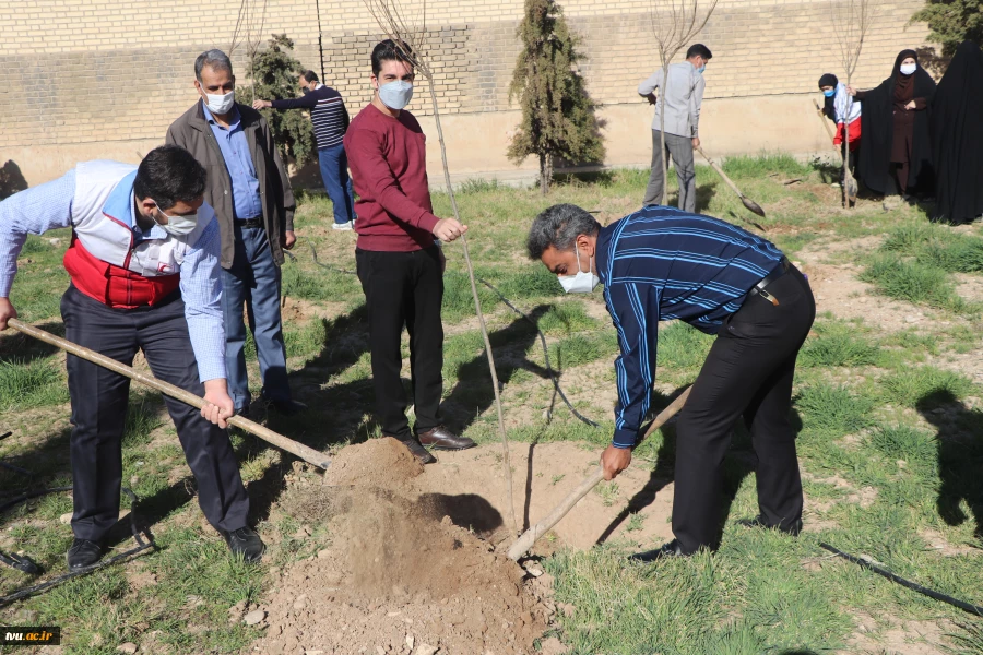 برگزاری مراسم روز درختکاری در دانشکده شهید باهنر شیراز 3