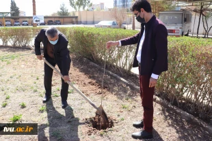 آغاز پویش ملی همکاشت در آموزشکده فنی امام علی(ع) یزد 6