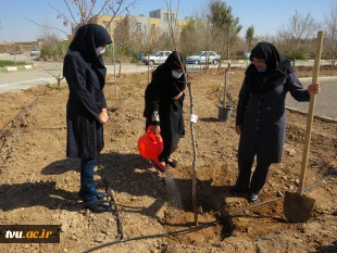 کاشت بیش از 150 اصله درخت مثمر به مناسبت روزدرختکاری وهفته منابع طبیعی در آموزشکده فنی دختران میبد
 2