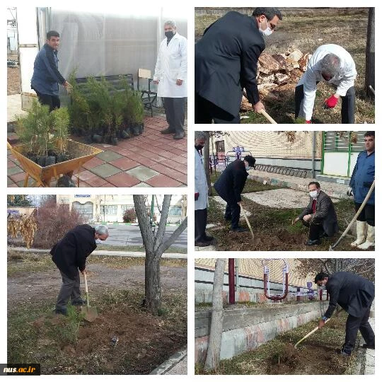 آغاز مراسم غرس 100 اصله نهال بمناسبت هفته درختکاری در آموزشکده فنی و کشاورزی مراغه 2