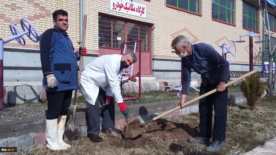 آغاز مراسم غرس 100 اصله نهال بمناسبت هفته درختکاری در آموزشکده فنی و کشاورزی مراغه 7