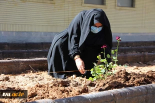 همزمان با هفتة درختکاری در آموزشکده فنی و حرفه ای دختران نجف آباد برگزار گردید 5