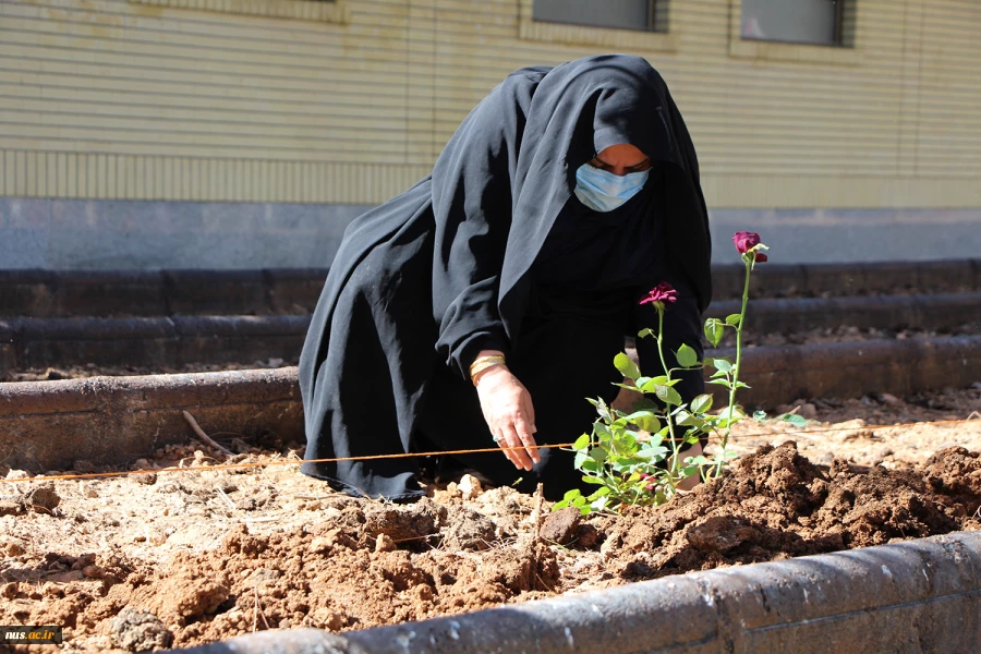 همزمان با هفتة درختکاری در آموزشکده فنی و حرفه ای دختران نجف آباد برگزار گردید 5