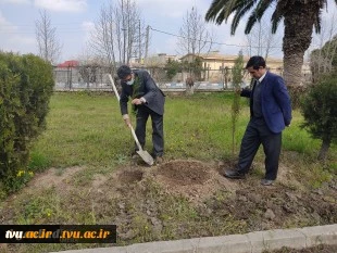 مراسم روز درختکاری در آموزشکده فنی و حرفه ای دختران کوثر گنبد کاووس (استان گلستان ) 2