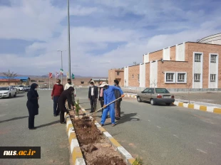 آیین کاشت 430 اصله نهال در هفته گرامیداشت منابع طبیعی و روز درختکاری در آموزشکده های استان خراسان جنوبی 5