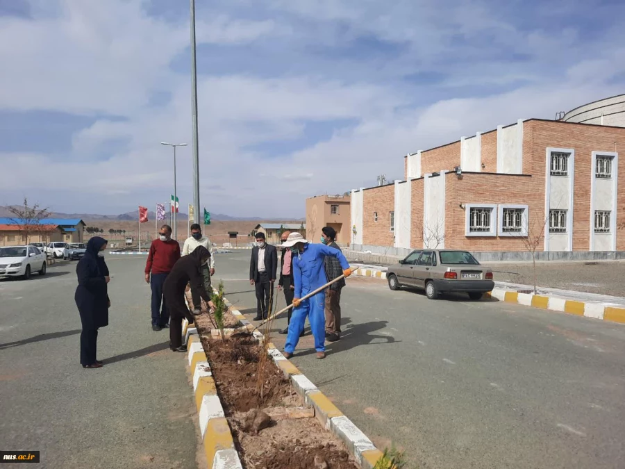 آیین کاشت 430 اصله نهال در هفته گرامیداشت منابع طبیعی و روز درختکاری در آموزشکده های استان خراسان جنوبی 5