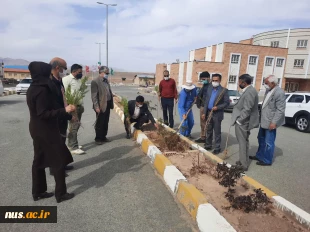 آیین کاشت 430 اصله نهال در هفته گرامیداشت منابع طبیعی و روز درختکاری در آموزشکده های استان خراسان جنوبی 7