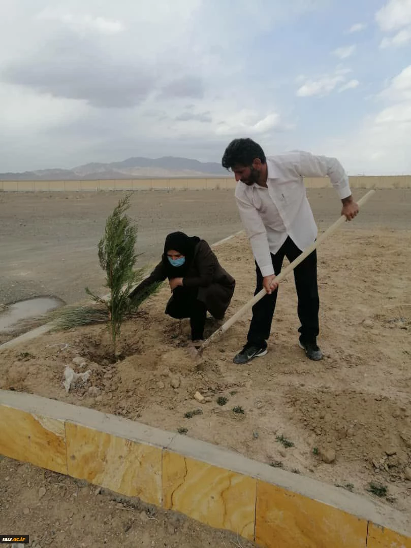 آیین کاشت 430 اصله نهال در هفته گرامیداشت منابع طبیعی و روز درختکاری در آموزشکده های استان خراسان جنوبی 8