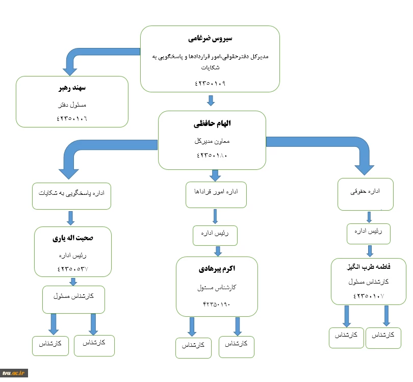 چارت سازمانی اداره کل حقوقی 3