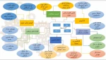 بررسی آیین نامه شورای کارآفرینی و اشتغال با تاکید بر استقرار کنسرسیومهای صنعتی و آموزشی 4