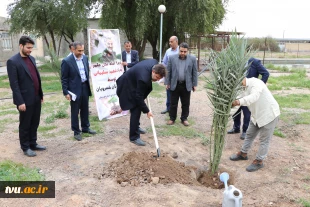 غرس دو اصله نخل مثمر در آموزشکده فنی و حرفه‌ای شهید چمران اهواز توسط دکتر خسرویان 2