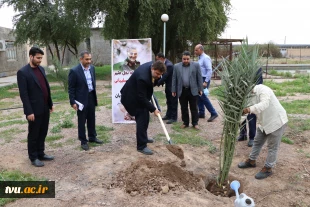 غرس دو اصله نخل مثمر در آموزشکده فنی و حرفه‌ای شهید چمران اهواز توسط دکتر خسرویان 3