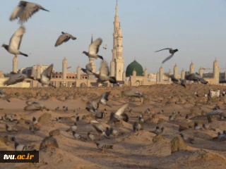 ما بقیع را می سازیم 

 هشتم شوال ۱۳۴۴هجری قمری سالروز تخریب قبور مقدس بقیع (روز ویرانی) ‌