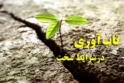 تاب آوری در شرایط سخت